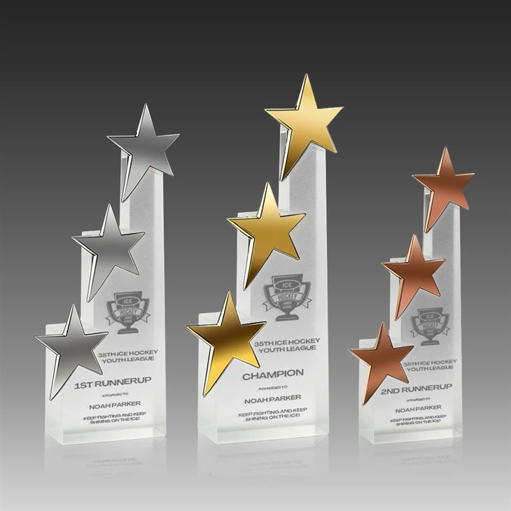 פרסי סדרת קריסטל הכוכב העולה